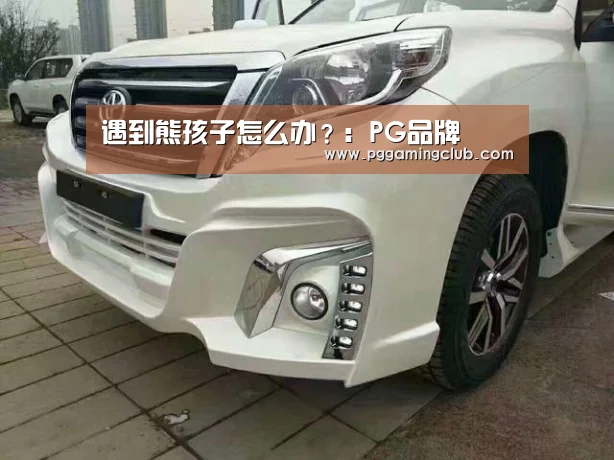 遇到熊孩子怎么办?:PG品牌(图3) PG平台