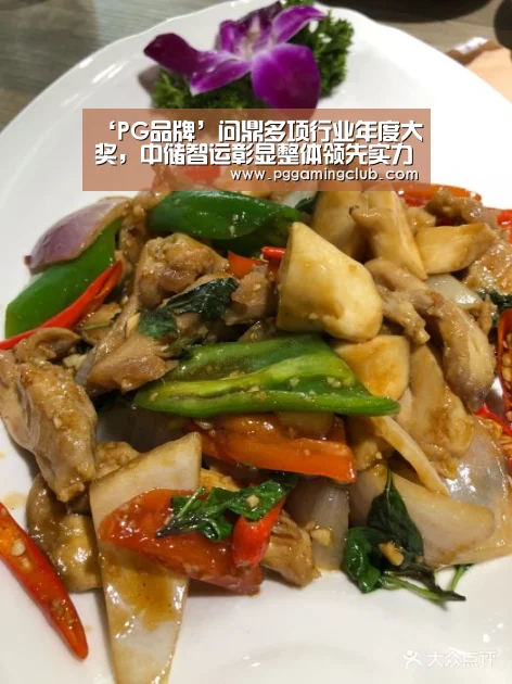 ‘PG品牌’问鼎多项行业年度大奖,中储智运彰显整体领先实力(图1) PG游戏