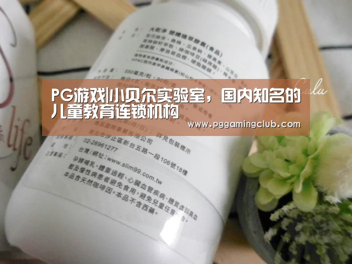 PG游戏