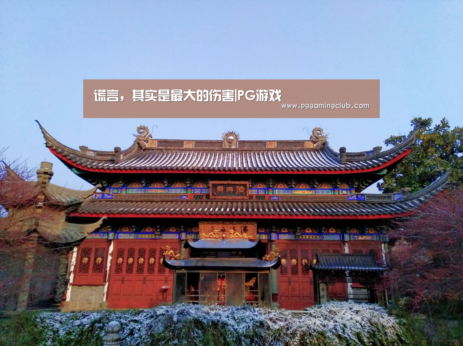 PG平台