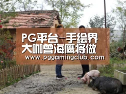 PG畅玩