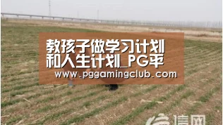 PG平台