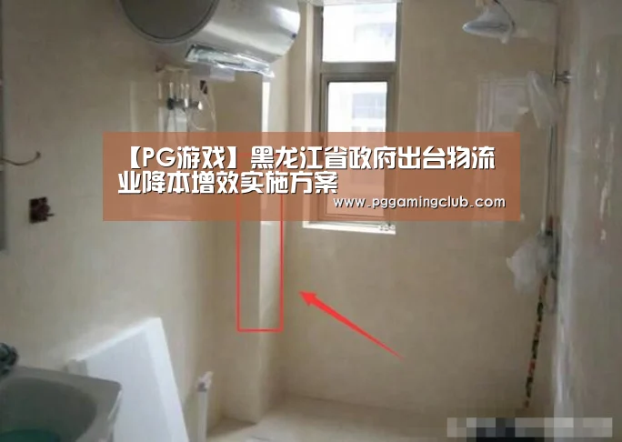 【PG游戏】黑龙江省政府出台物流业降本增效实施方案(图2) PG畅玩