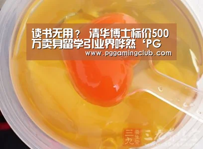 读书无用? 清华博士标价500万卖身留学引业界哗然‘PG畅玩’(图2) PG游戏