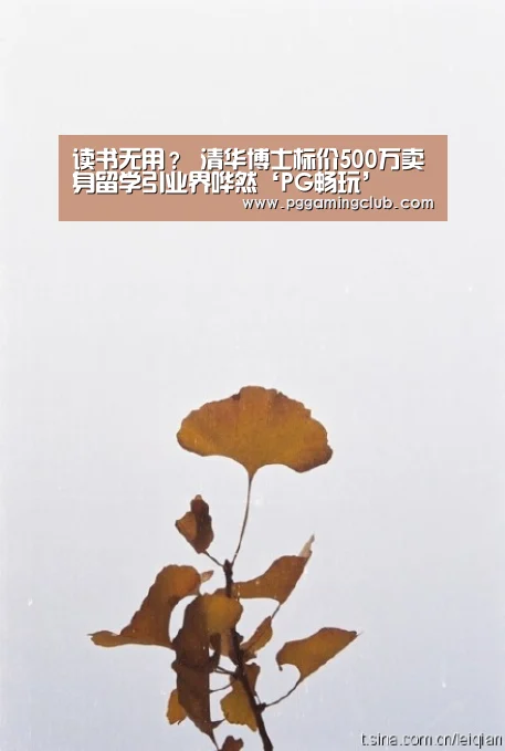 读书无用? 清华博士标价500万卖身留学引业界哗然‘PG畅玩’(图1) PG畅玩