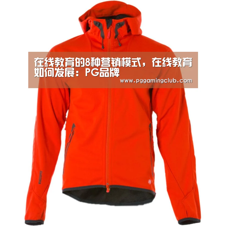 在线教育的8种营销模式,在线教育如何发展:PG品牌(图2) PG品牌