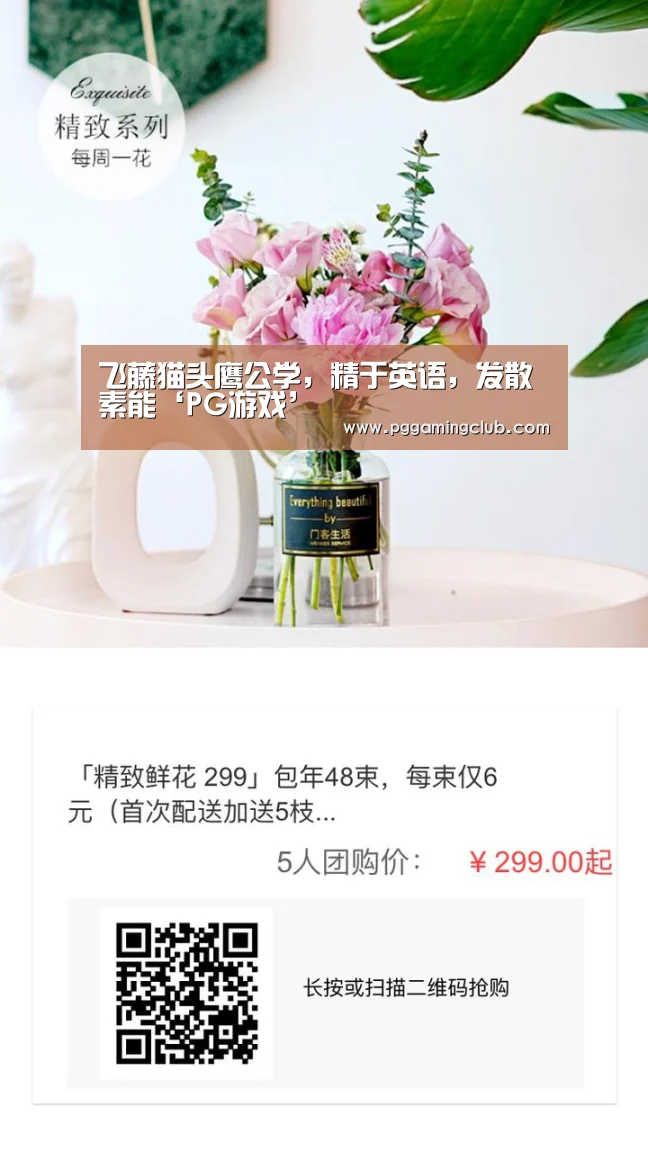 飞藤猫头鹰公学,精于英语,发散素能‘PG游戏’(图2) PG游戏