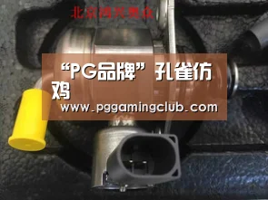 PG游戏