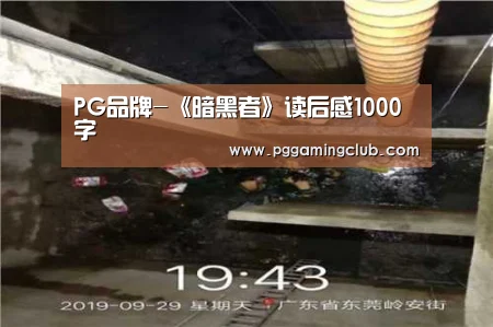 PG品牌-《暗黑者》读后感1000字(图1) PG品牌