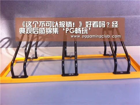 《这个不可以报销!》好看吗?经典观后感锦集‘PG畅玩’(图1) PG平台
