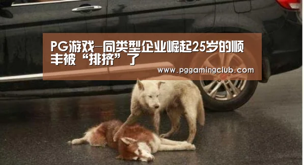 PG游戏-同类型企业崛起25岁的顺丰被“排挤”了(图3) PG品牌