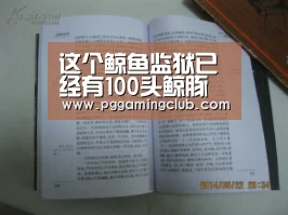 这个鲸鱼监狱已经有100头鲸豚了,它们会被送去哪一个海洋馆呢?|PG品牌(图2) PG平台