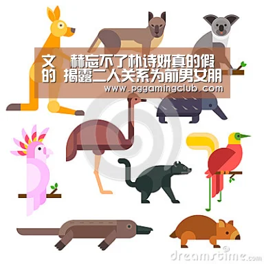 文晸赫忘不了朴诗妍真的假的 揭露二人关系为前男女朋友|PG平台(图2) PG品牌